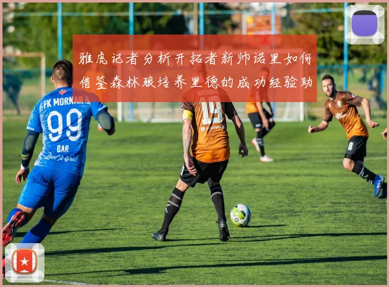 雅虎记者分析开拓者新帅诺里如何借鉴森林狼培养里德的成功经验助力杨瀚森